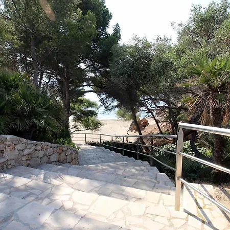 Mimosas * Miami Platja (Miami Playa)