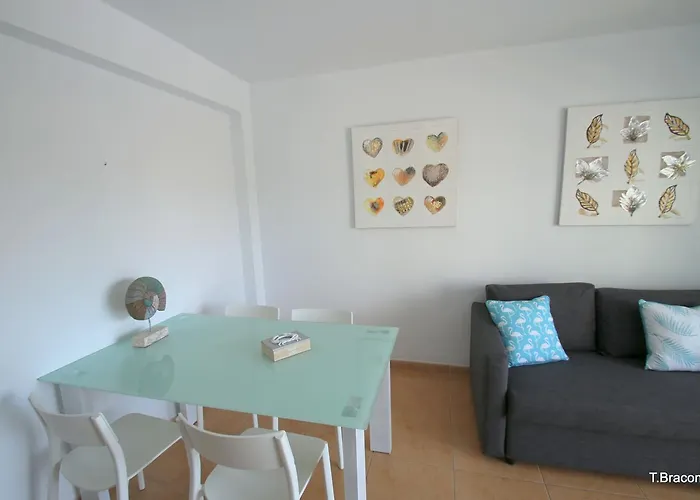 Mimosas ميامي بلاتجا